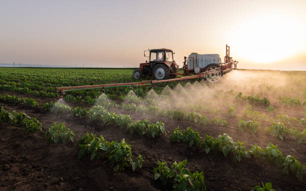 Best Mosquito Control Services  in Gypsum, CO