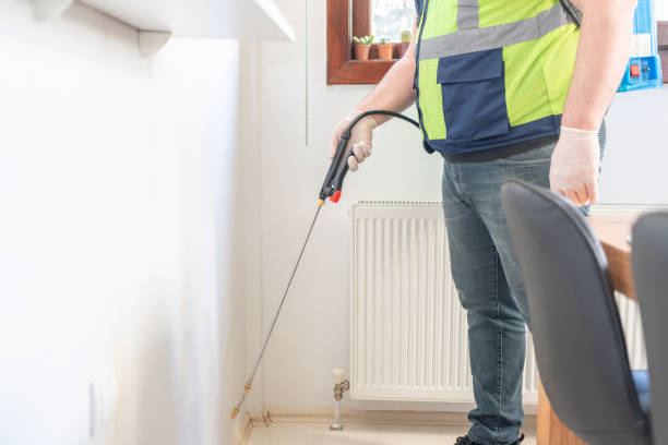 Best Termite Control Services  in Gypsum, CO
