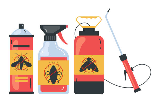 Professional Pest Control in Gypsum, CO