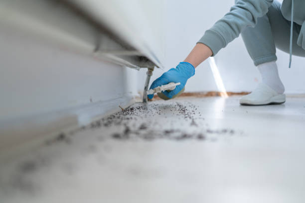 Wildlife Control Services in Gypsum, CO